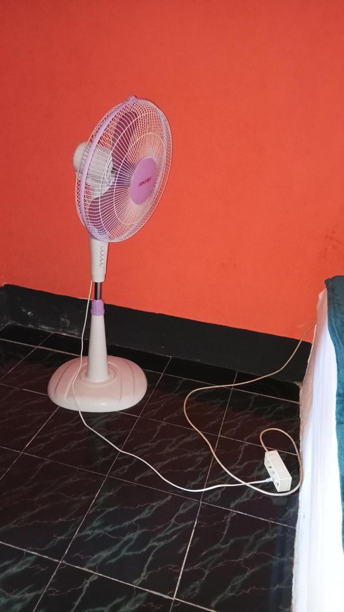 Roy Homestay Kuta Kuta  외부 사진