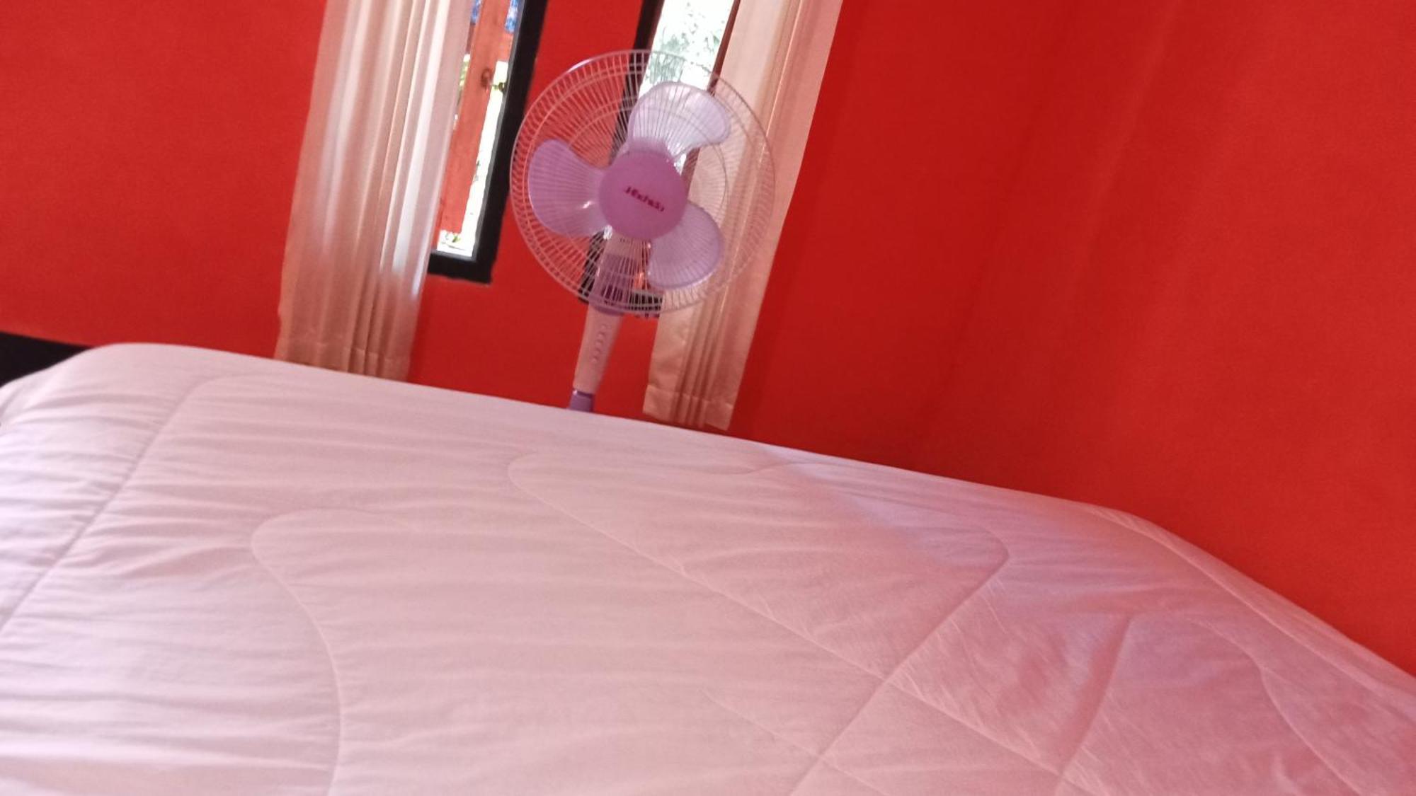 Roy Homestay Kuta Kuta  외부 사진